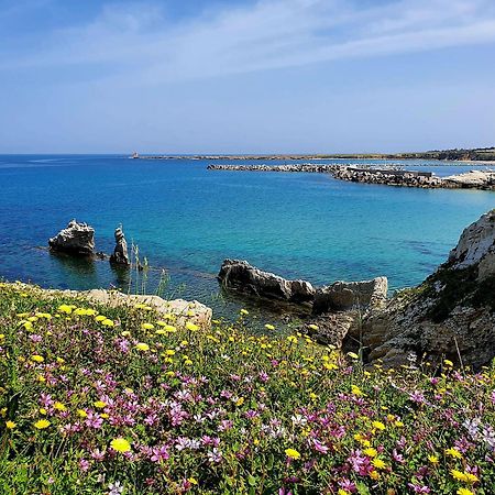 Azzurra Home Terrasini Εξωτερικό φωτογραφία